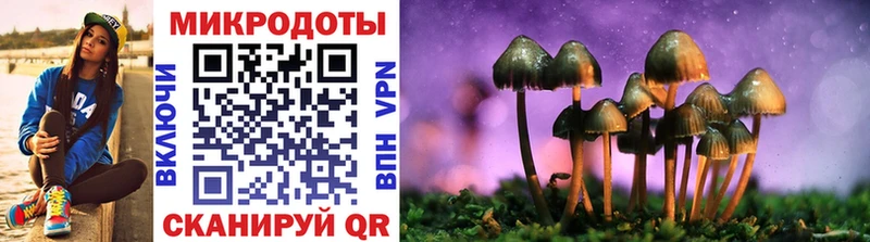 Галлюциногенные грибы MAGIC MUSHROOMS  OMG как войти  Покровск  сколько стоит 