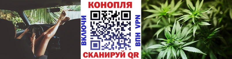 наркота  Покровск  MEGA tor  Канабис сатива 